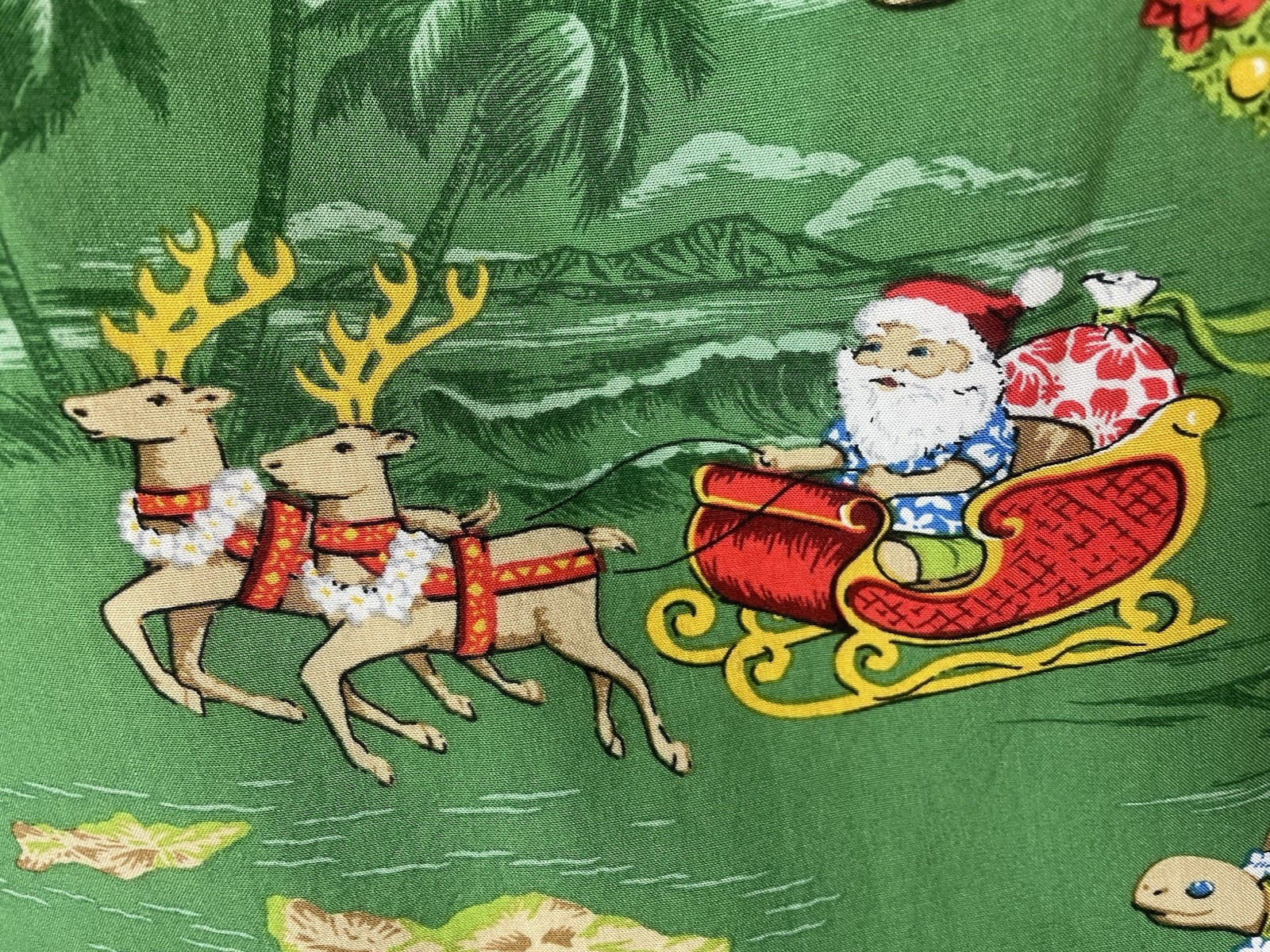 Bishop St Apparel Hawaiian Christmas Dress Women’s 2XL Green Surfing Santa Hawai