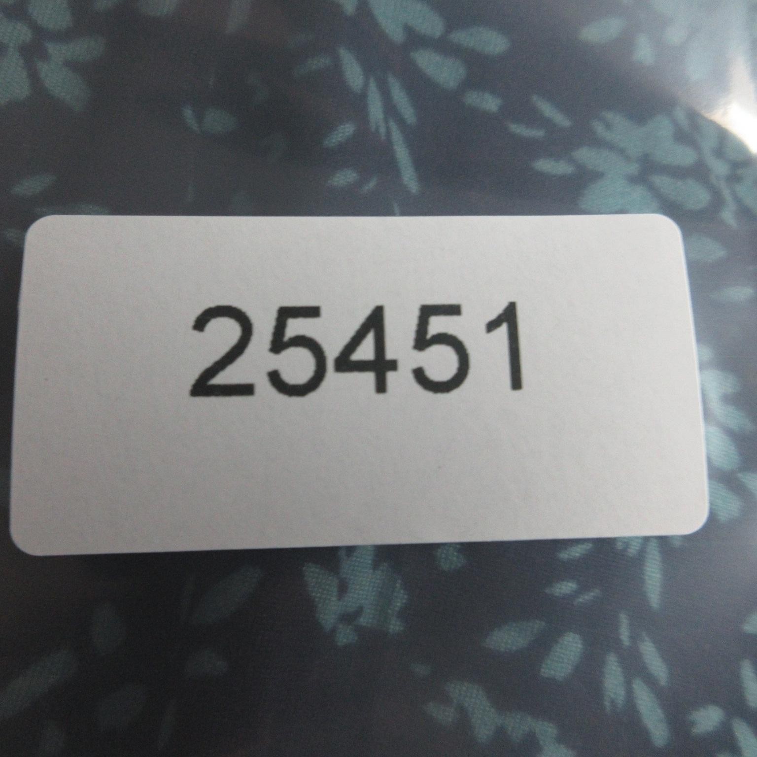 Nine Britton Dress Womens Small Blue Floral Sleeveless Fit & Flare Sundress NWT