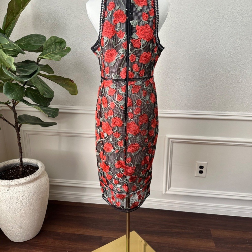 Bombshell Romantic | Gianni Bini | Rose Embroidered Mesh Chic Dress | Large| EUC