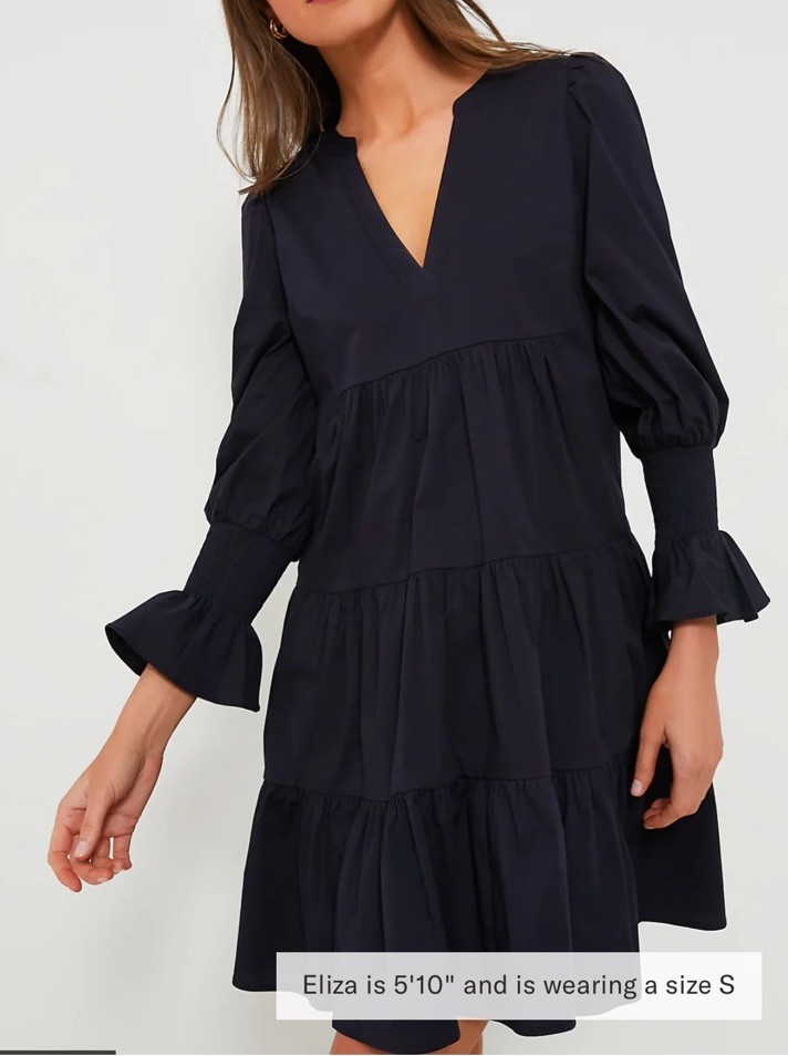 Tuckernuck POMANDER PLACE Kenzo Dress Navy Blue Tiered Long Sleeve Shift Sz M