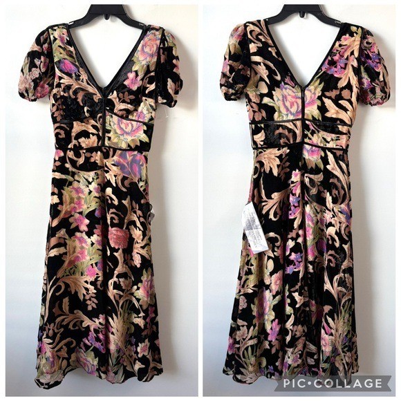 Dress The Population Winona Velvet Floral Midi Dress Black Multi XS