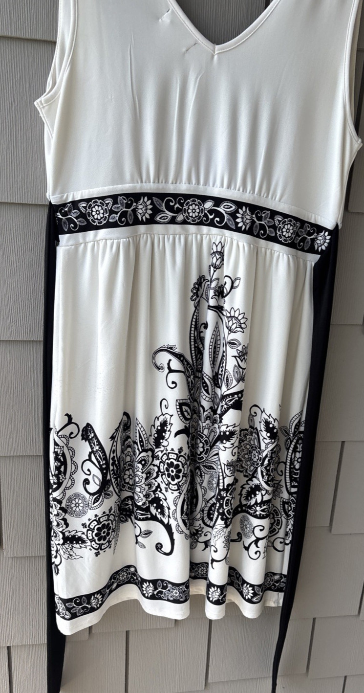 Joei & I Empire Waist Sleveless Graphic Print Lined Dress Tie Back Size XL