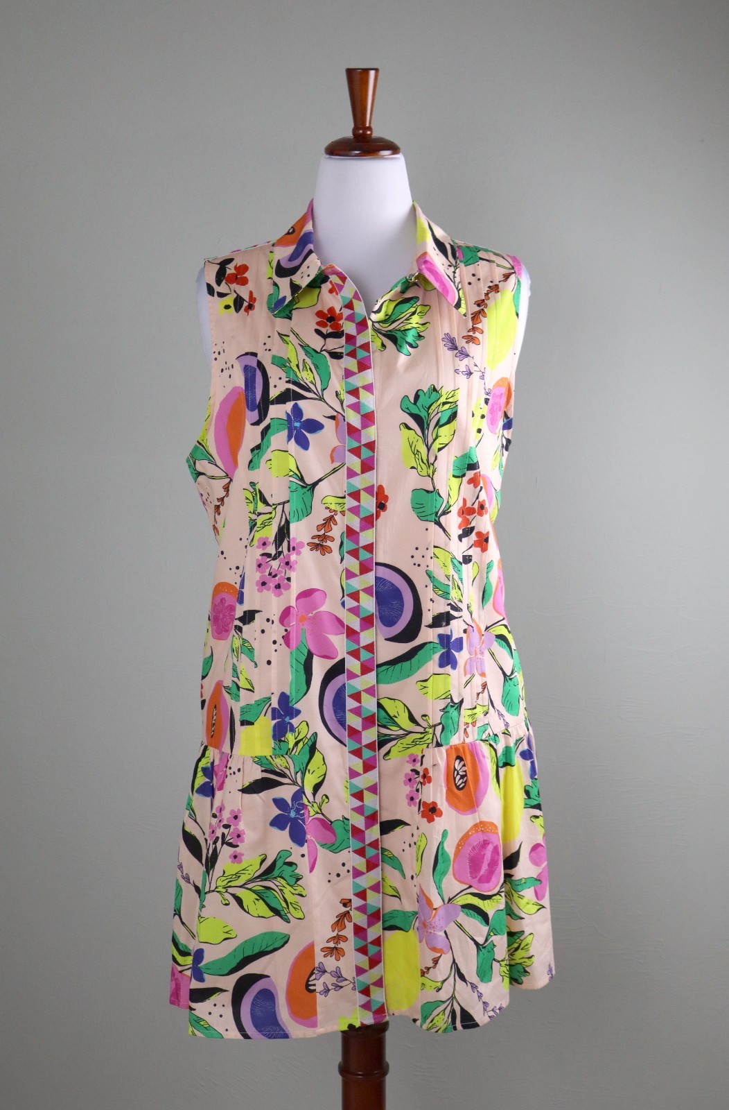 EMILY MCCARTHY $328 Vibrant Floral Fruit Pleated Lined Shirt Dress Size XL