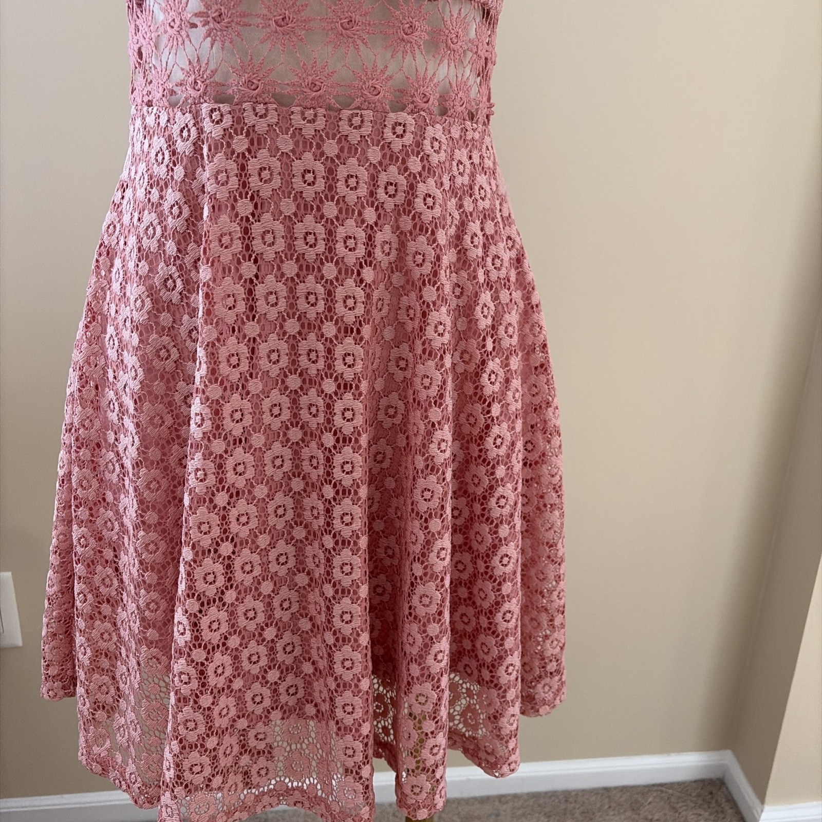 Iris Lace Fit & Flare Skater Mini Dress Size S Pink Sheer Floral Feminine Fairy