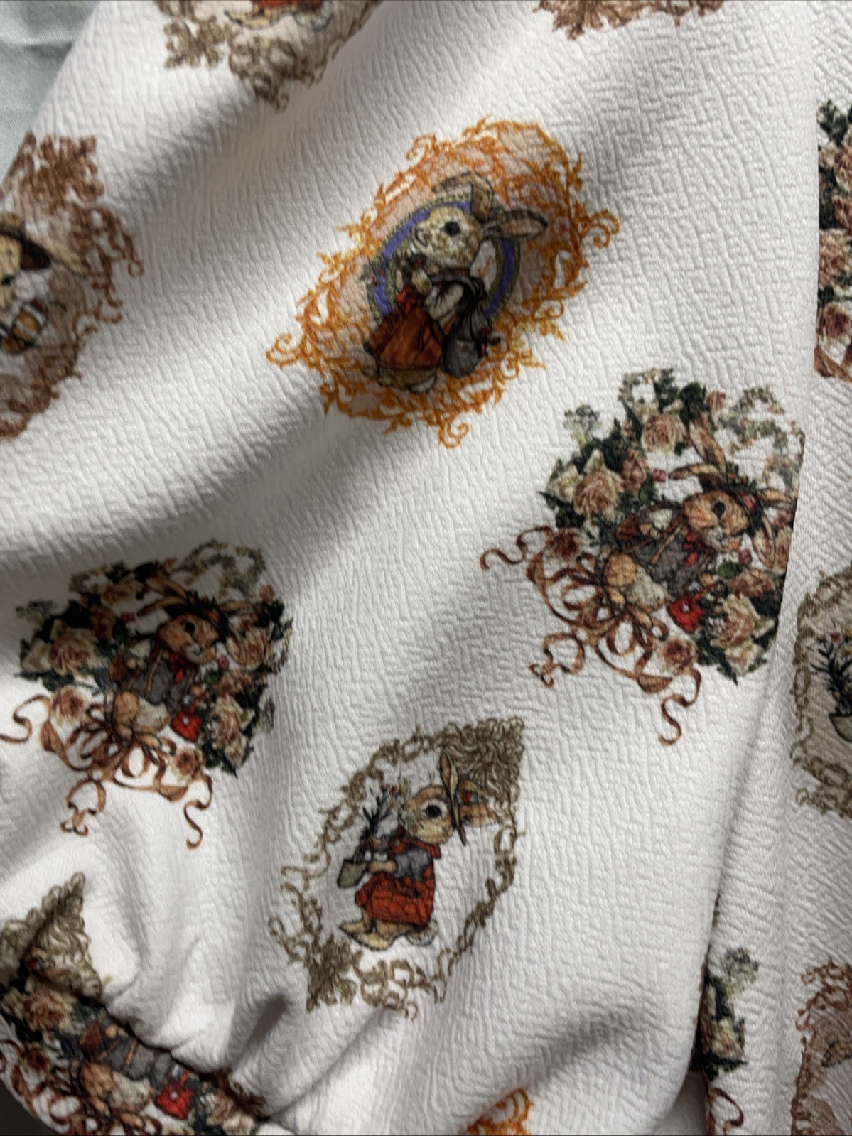 Is it Peter Rabbit Inspired Or Alice In wonderland? Shein 4XL Dress