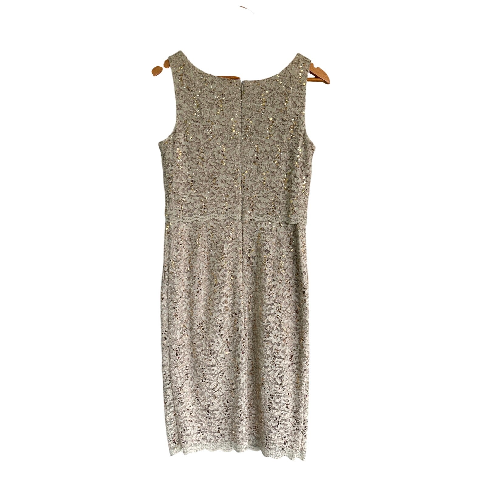 Alex Evenings Floral Overlay Sequin Knee Length Dress & Scarf Cream Sage Size 8