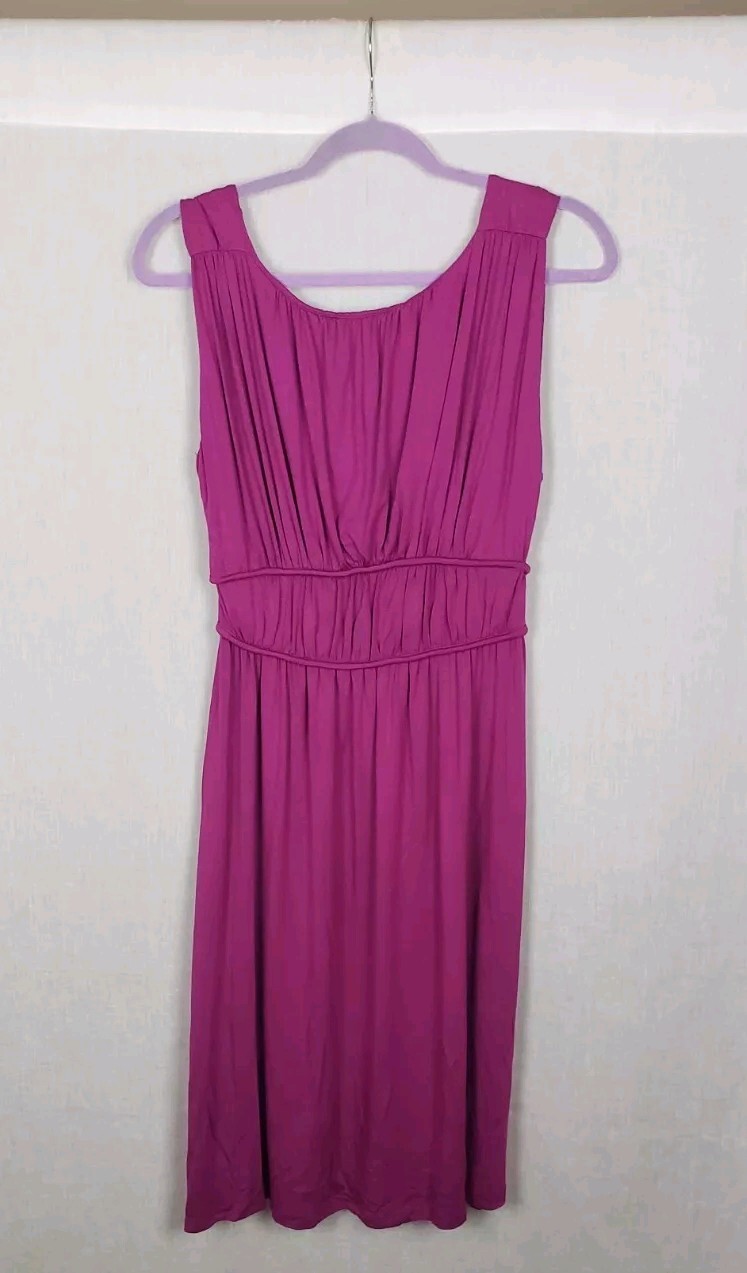 Michael Stars Modal Jersey Dewberry Dress M Empire Waist Feminine Party Sexy NWT