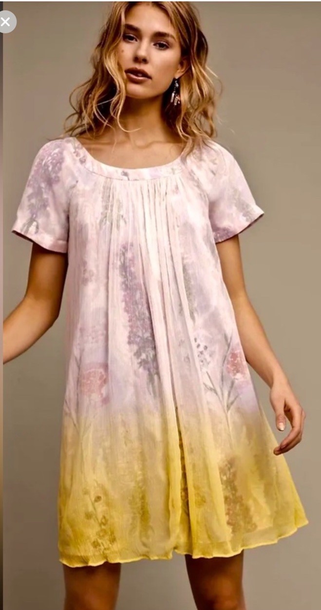 Anthropologie HD in Paris Shift Dress Floral Watercolor Ombre Chiffon Art Boho 6