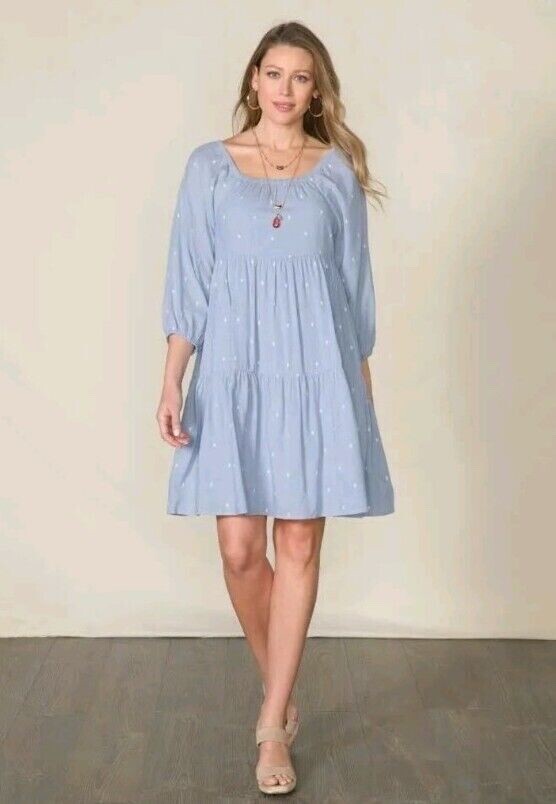 NWT Matilda Jane Good Hart All Day Chambray Dress Size Small