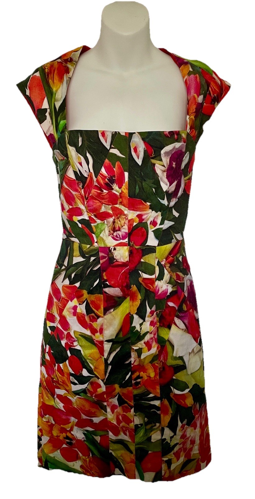 ARTELIER Nicole MILLER Chic Tropical FLORAL Print DRESS Size 6