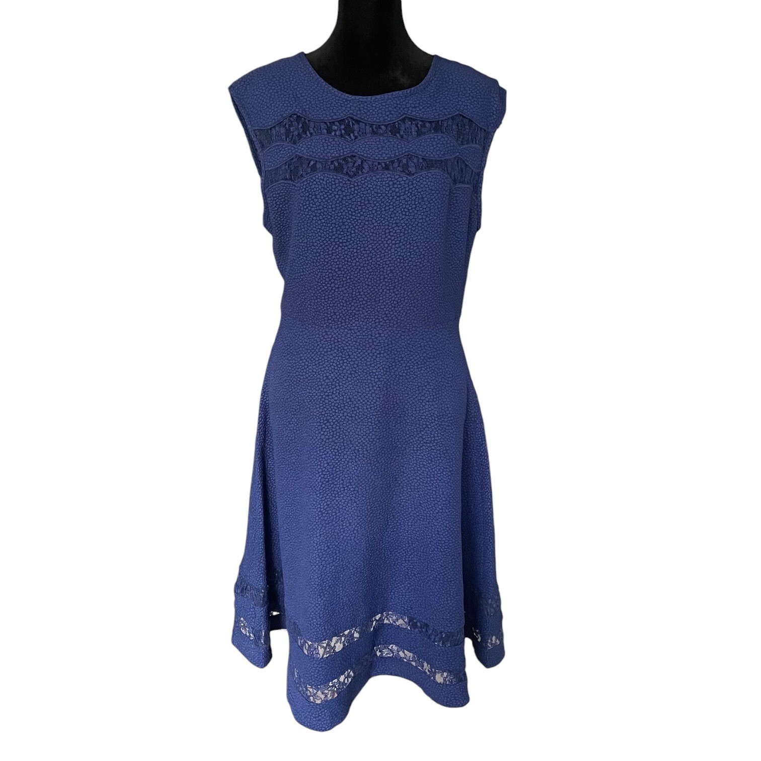 Navy Blue Textured Fit & Flare Dress Size Medium Sheer Lace Panels Knee Length