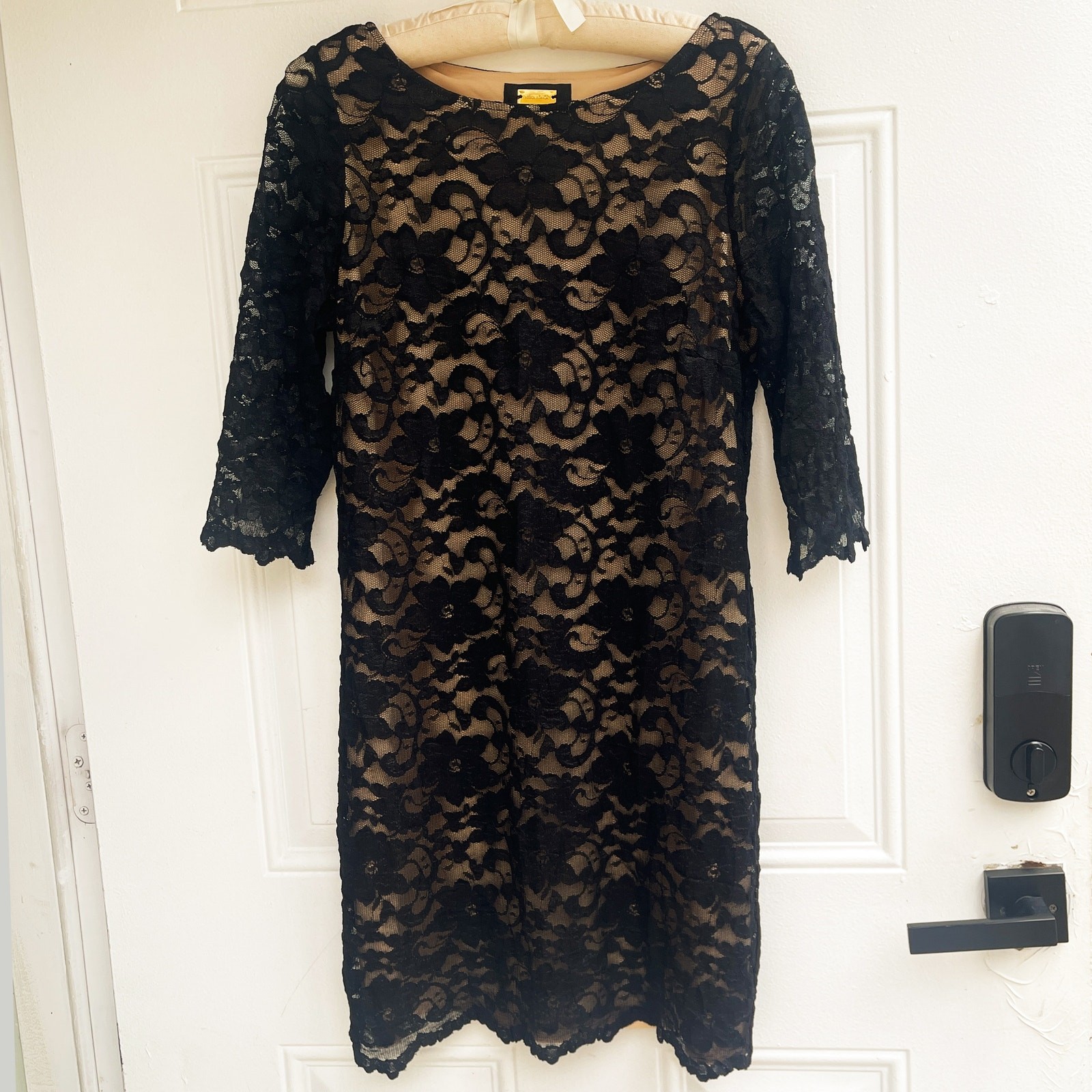 Alexia Admor Stretch Lace Dress Black Nude 3/4 Sleeve M NWT Made in USA