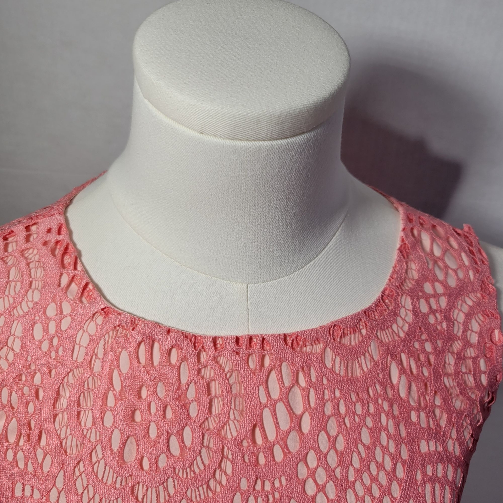 Eva Mendes NY&C Formal Classic Elegant Pink Lace Sleeveless Dress Size 2