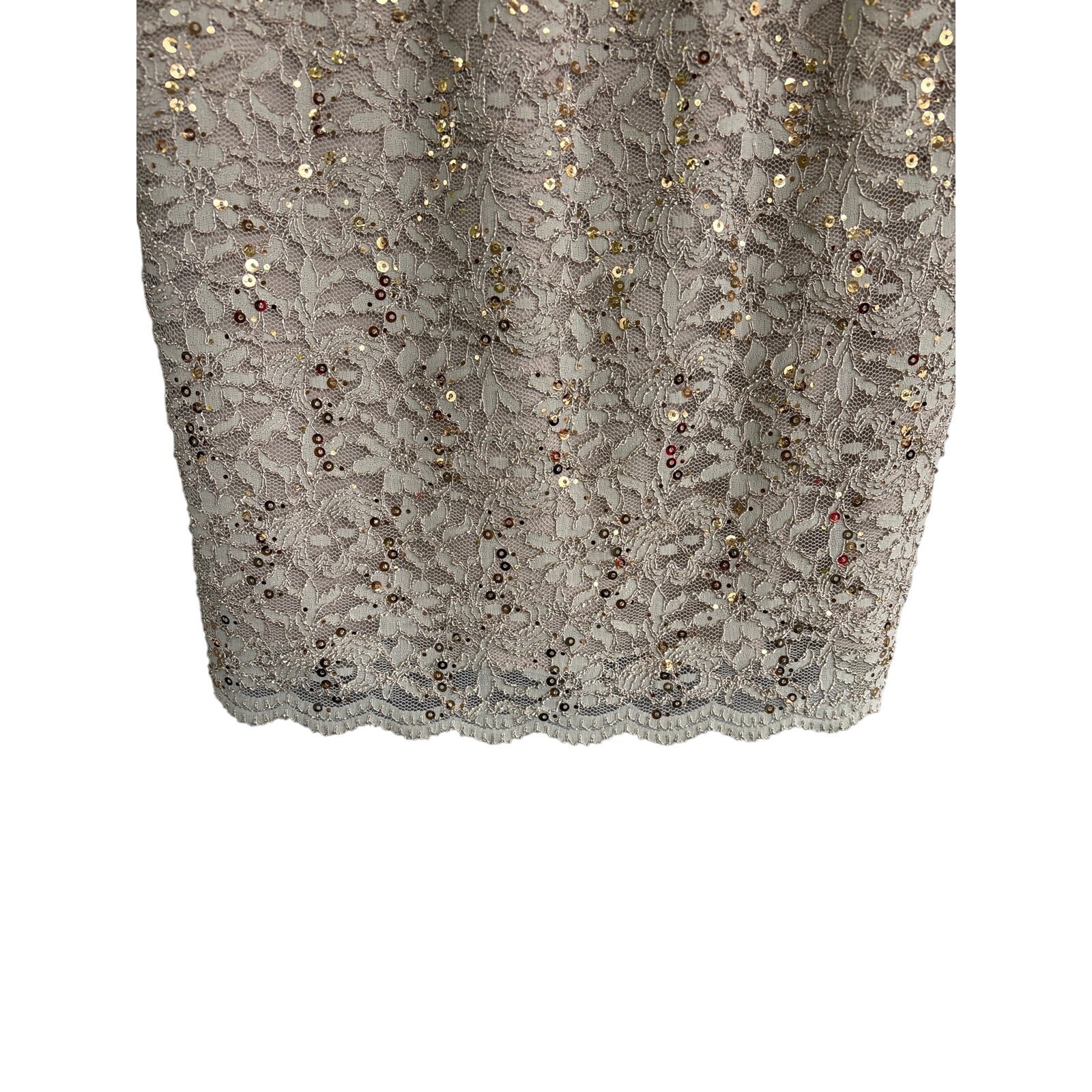 Alex Evenings Floral Overlay Sequin Knee Length Dress & Scarf Cream Sage Size 8