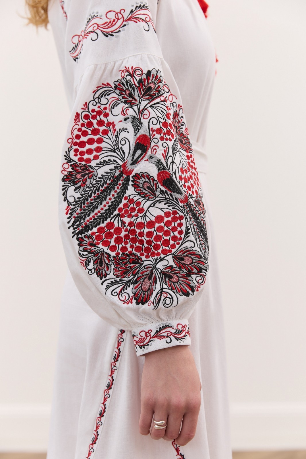 Ukrainian Embroidered Dress “Петриківська”