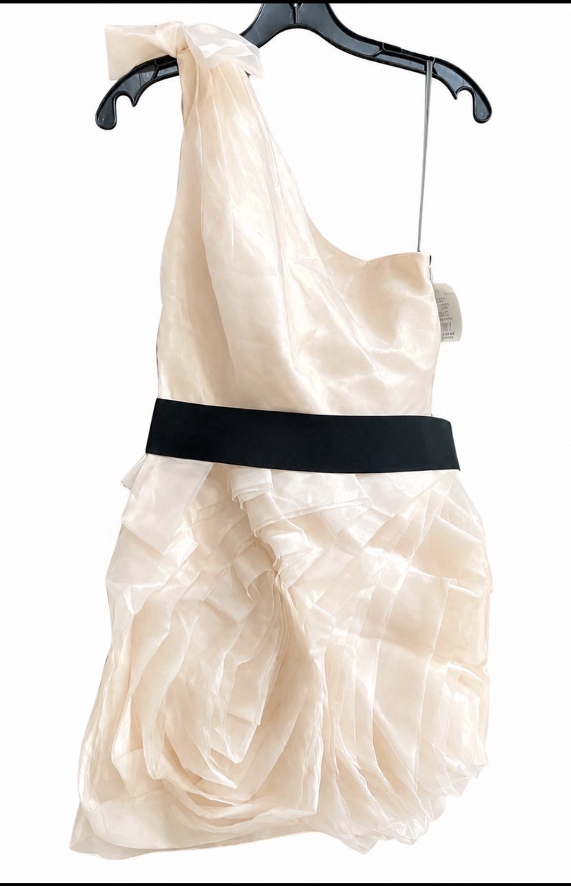 White By Vera Wang Mini Dress One Shoulder Size 6 Blush Organza Ribbon Flange