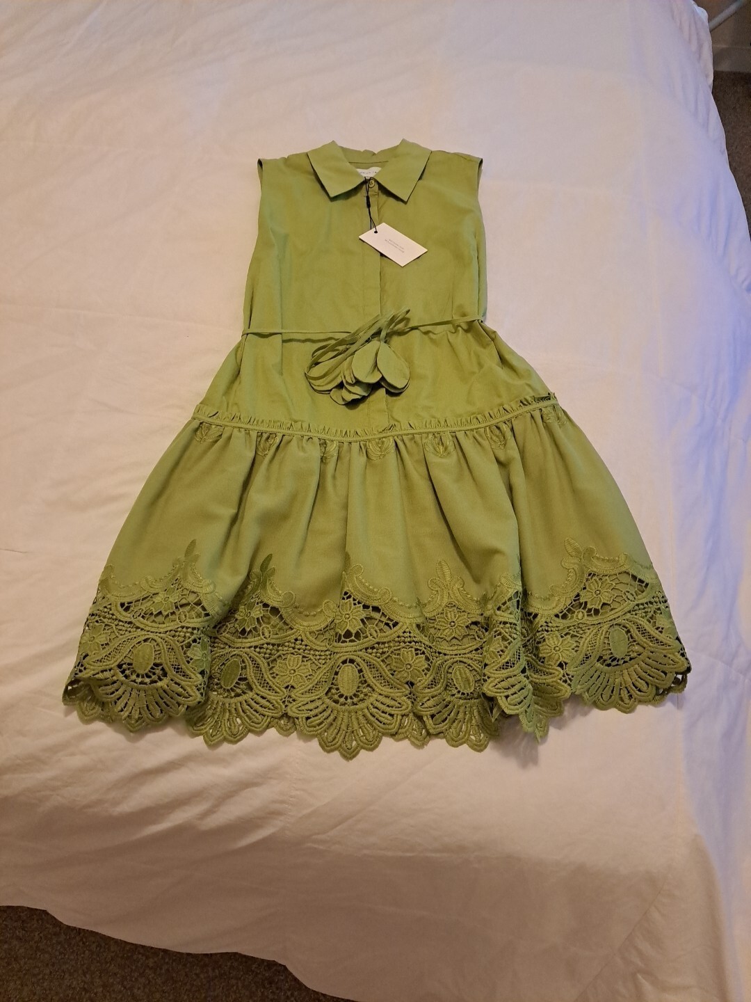 NWT Adelyn Rae Dustina Dress Woven Point Collar Embroidered Hem Green Sz XS #126