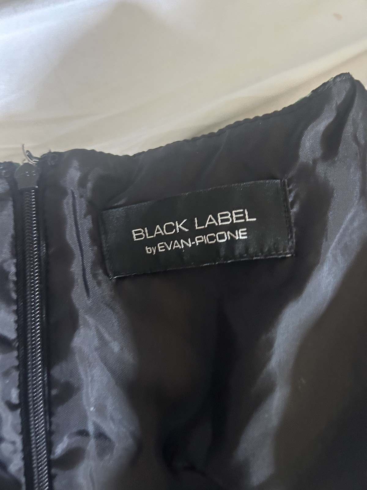 Black Label by Evan-Picone Green Black Fit & Flare Dress Size Unknown