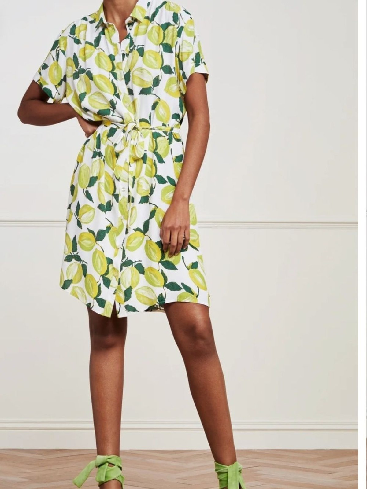 Fabienne Chapot Boyfriend Tess Dress Watercolor Lemon Print size 40 EU 8/L Us