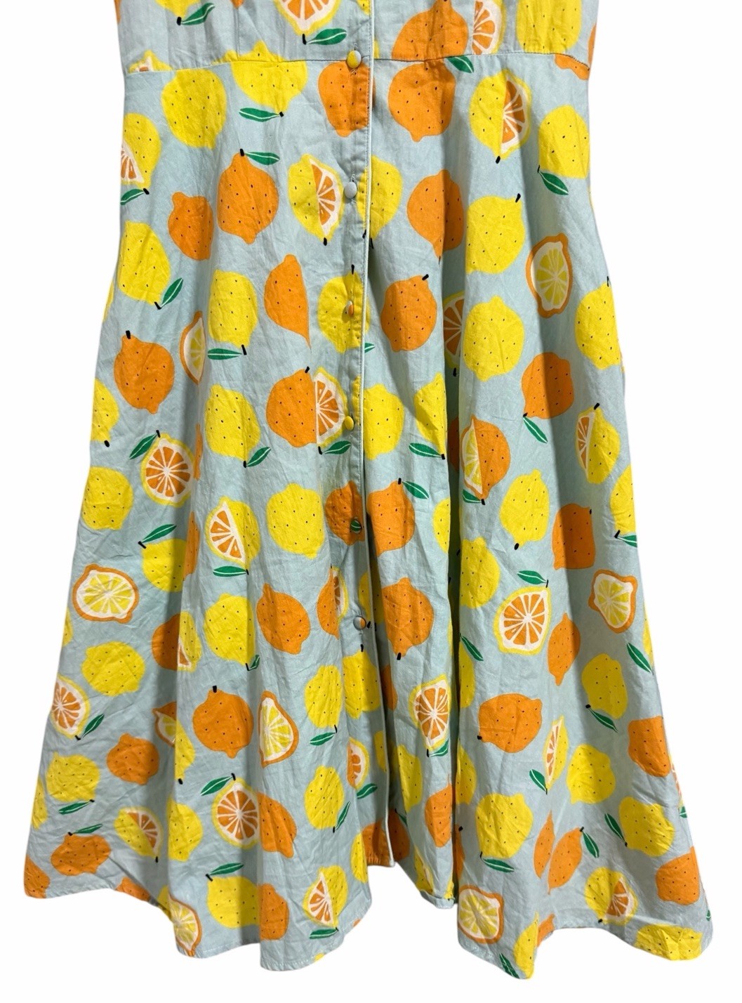 Teeberry & Weave Novelty Fruit Eclectic Art Flare Retro Dress Women’s Size Small