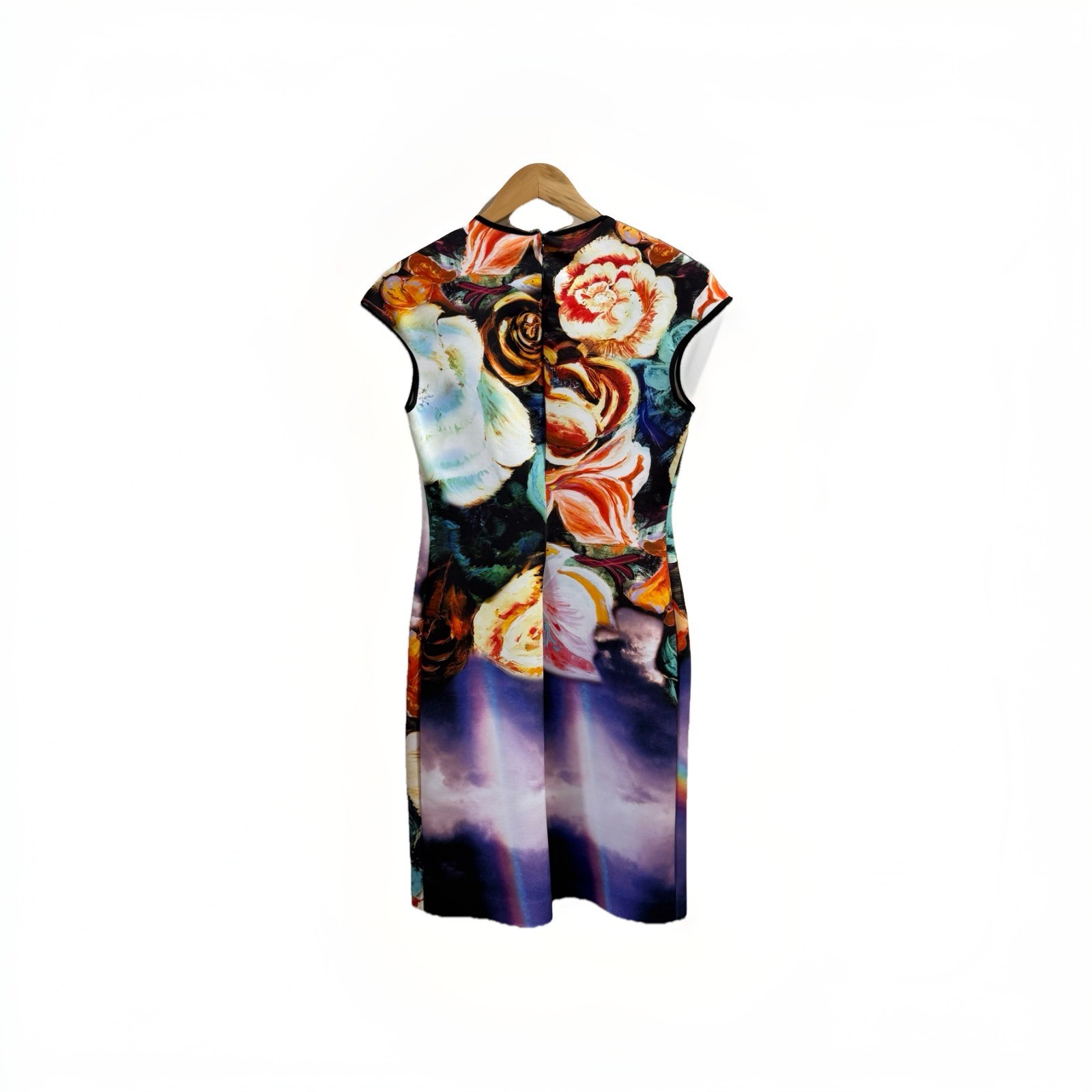 Clover Canyon Magical Sky Digital Print Cap Sleeve Pencil Dress Medium Neoprene