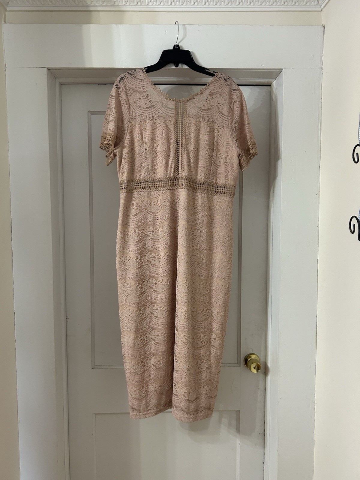 Suzanne Betro Pink Lace Midi Dress Size 2X Romantic Wedding Guest Mother Bride