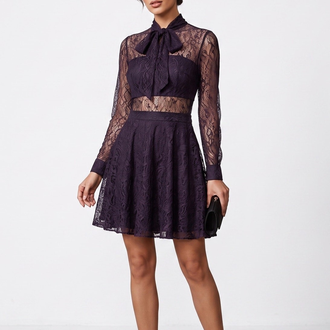 Jay Godfrey Peekaboo Black Lace Dress Size 12 Fits Like 8/10 Gothic Romantic NWT