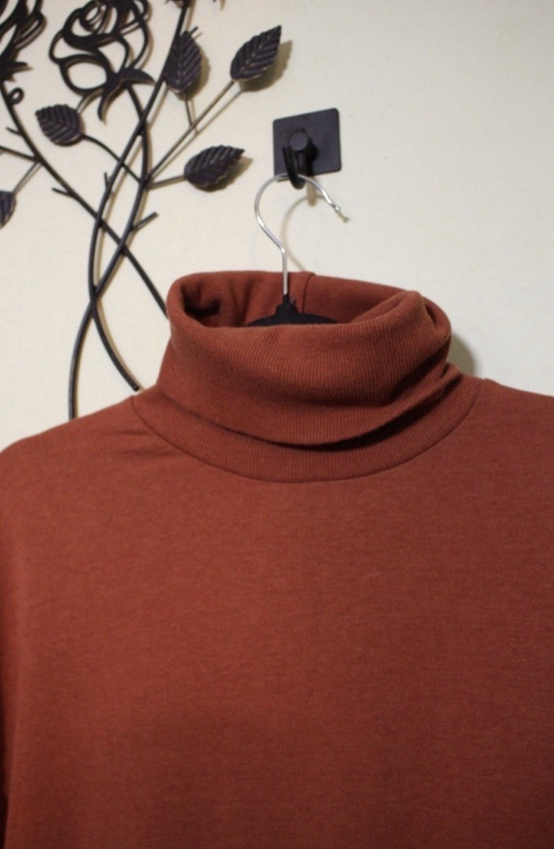 Young Fabulous & Broke Rust Turtleneck Sweater Dress Long Sleeve Short S