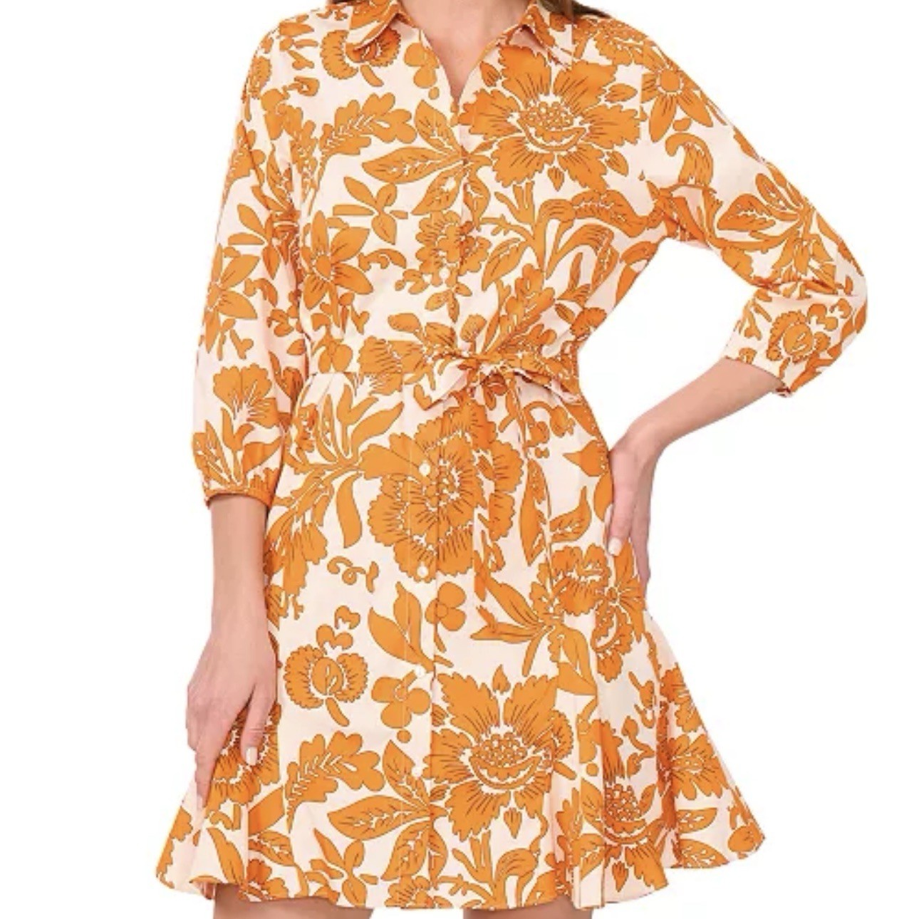 CYNTHIA STEFFE Fit & Flare A-Line Floral Belted Poplin Dress Button Up Sz L