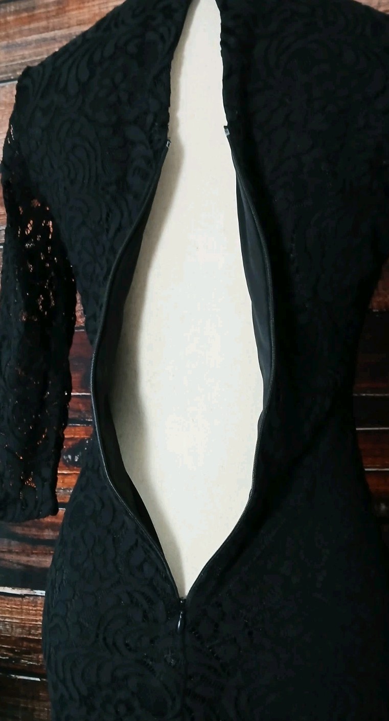 Eva Mendes NY & Co Dress Size 4 Black Lace Sheer 3/4 Sleeves Stretch Lined Zip