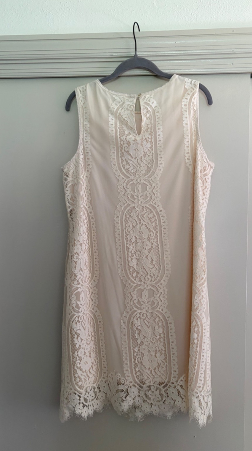 Lace Overlay Shift Dress