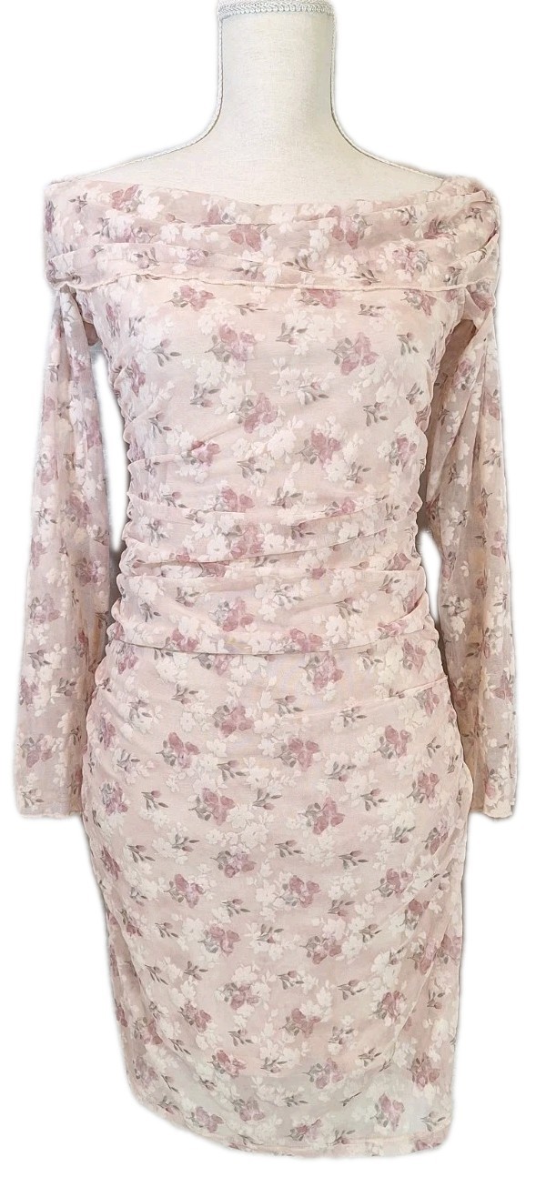 NWOT Windsor SzL Off The Shoulder LS Floral Mesh Mini Bodycon Dress Ruched Sides