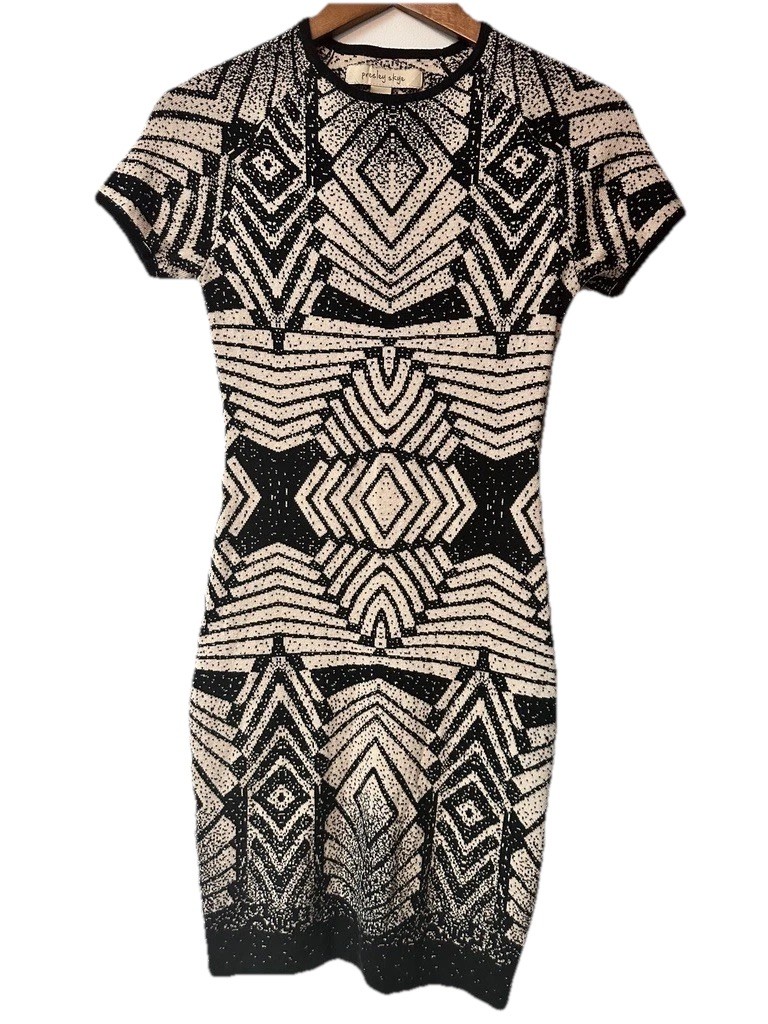 Presley Skye Womens Size MED Mini Dress Art Brown Form Fitting Geometric Soft