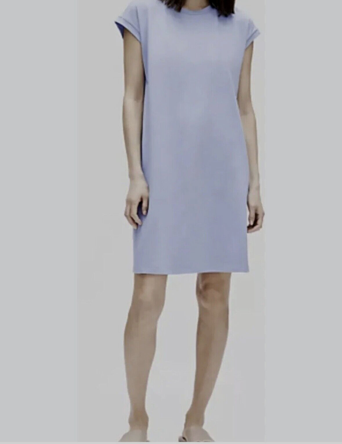 Eileen Fisher Cotton Stretch Jersey Crew Neck Dress Larkspur Small $168 NWT