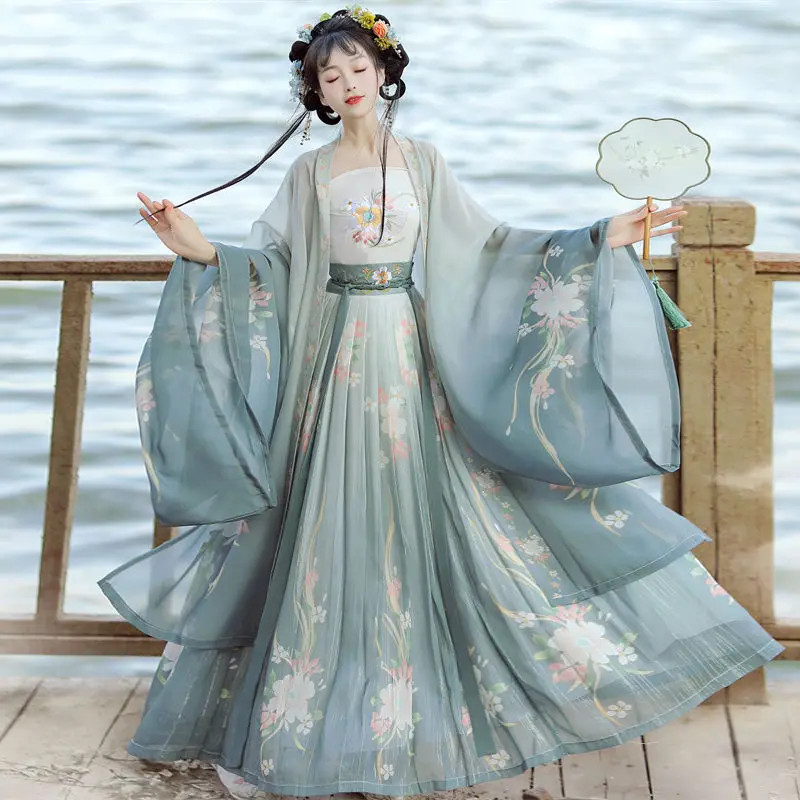 Ancient Chinese Traditional Women Song Dynasty Embroidery Print Hanfu Dress