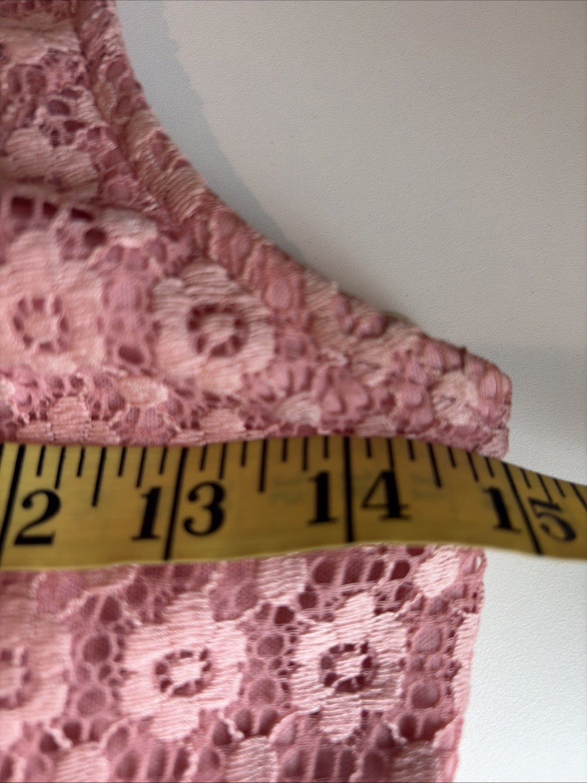Iris Lace Fit & Flare Skater Mini Dress Size S Pink Sheer Floral Feminine Fairy