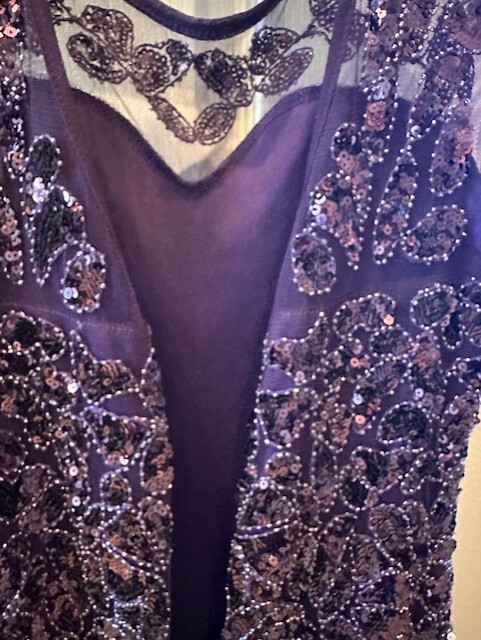 Pretty Guide 1920’s Dress Sequin Gatsby Inspired S Purple Trumpet Illusion Neck