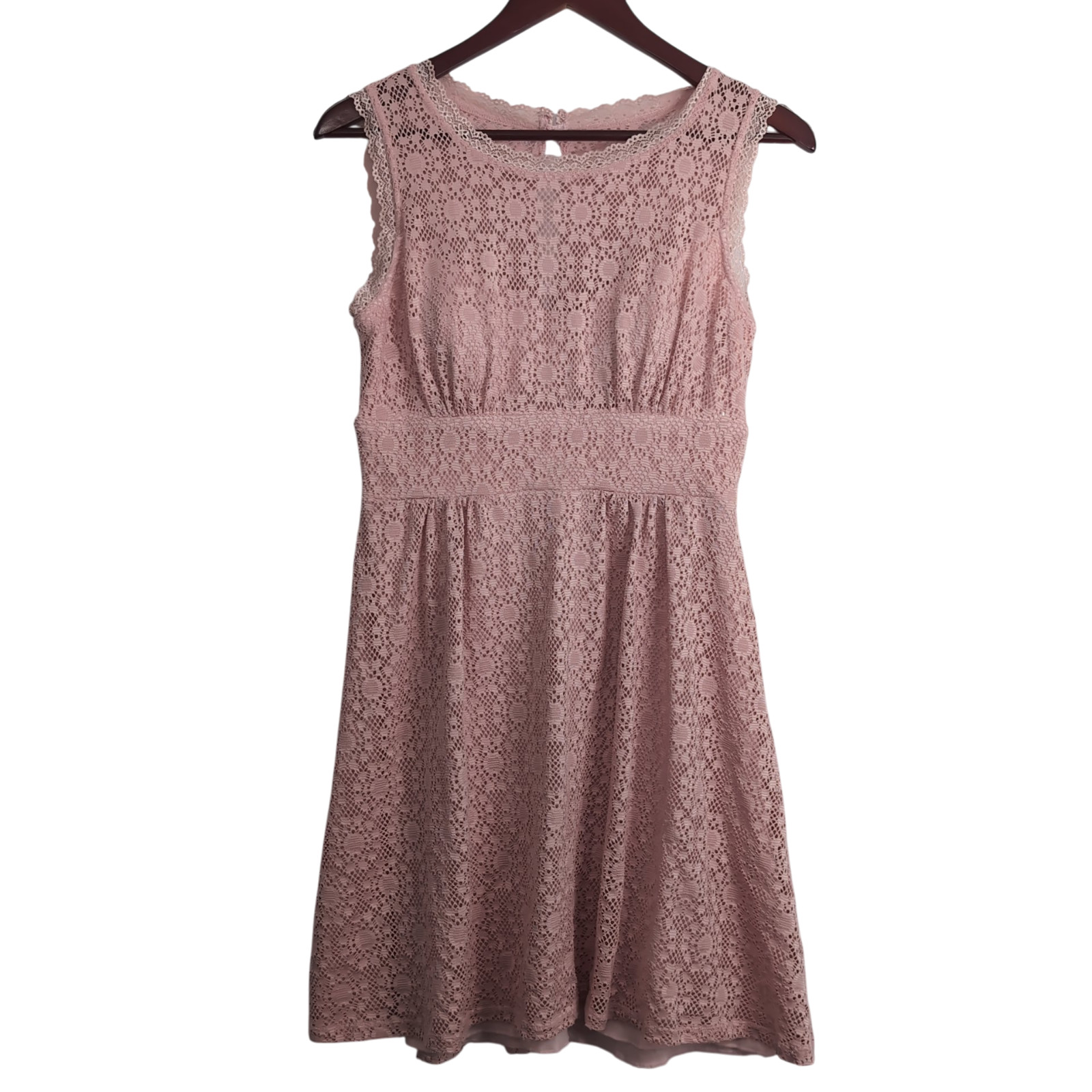 DB Established 1962 Pink Lace A-line Skater Dress Size-4