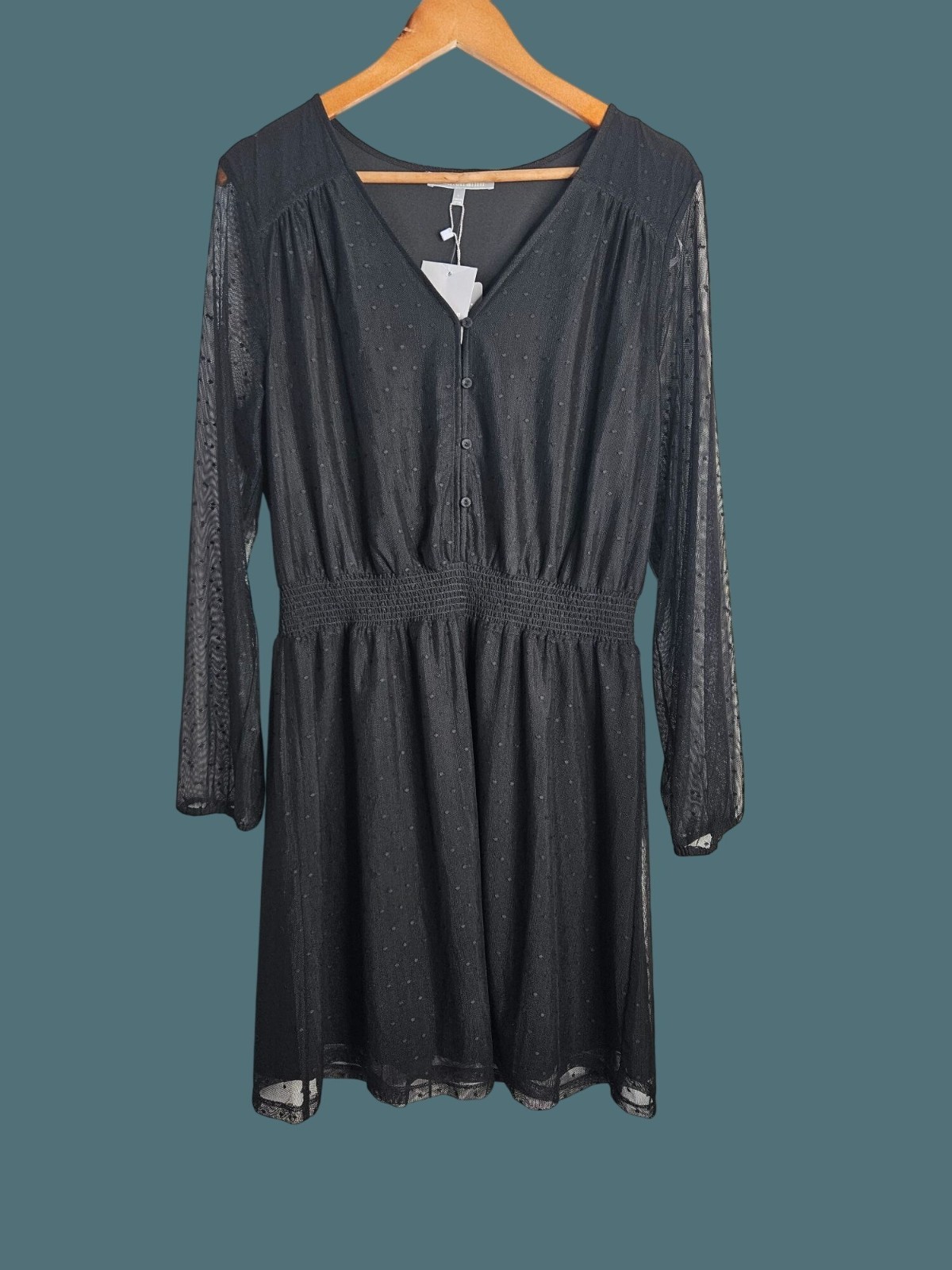 Danielrainn Black V Neck Polka Dot Sheer Long Sleeve Dress Women Large