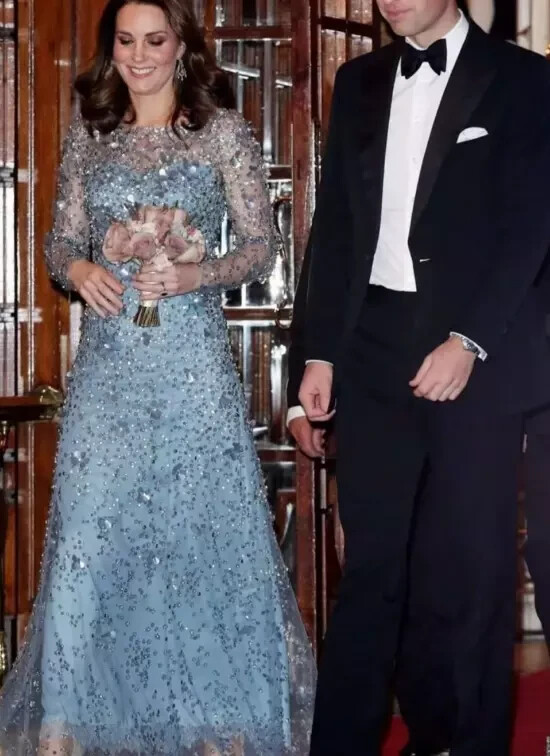 Kate Middleton Style Illusion Long Sleeve Beaded Tulle Formal Evening Party Gown
