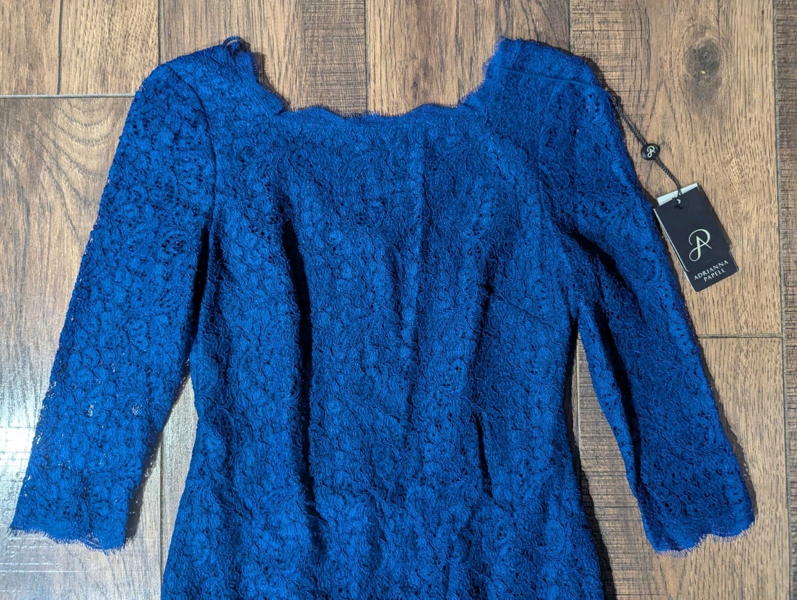 Adrianna Papell Royal Blue Lace Mini Dress Back Zipper Accent Sz 4 NWT Gorgeous