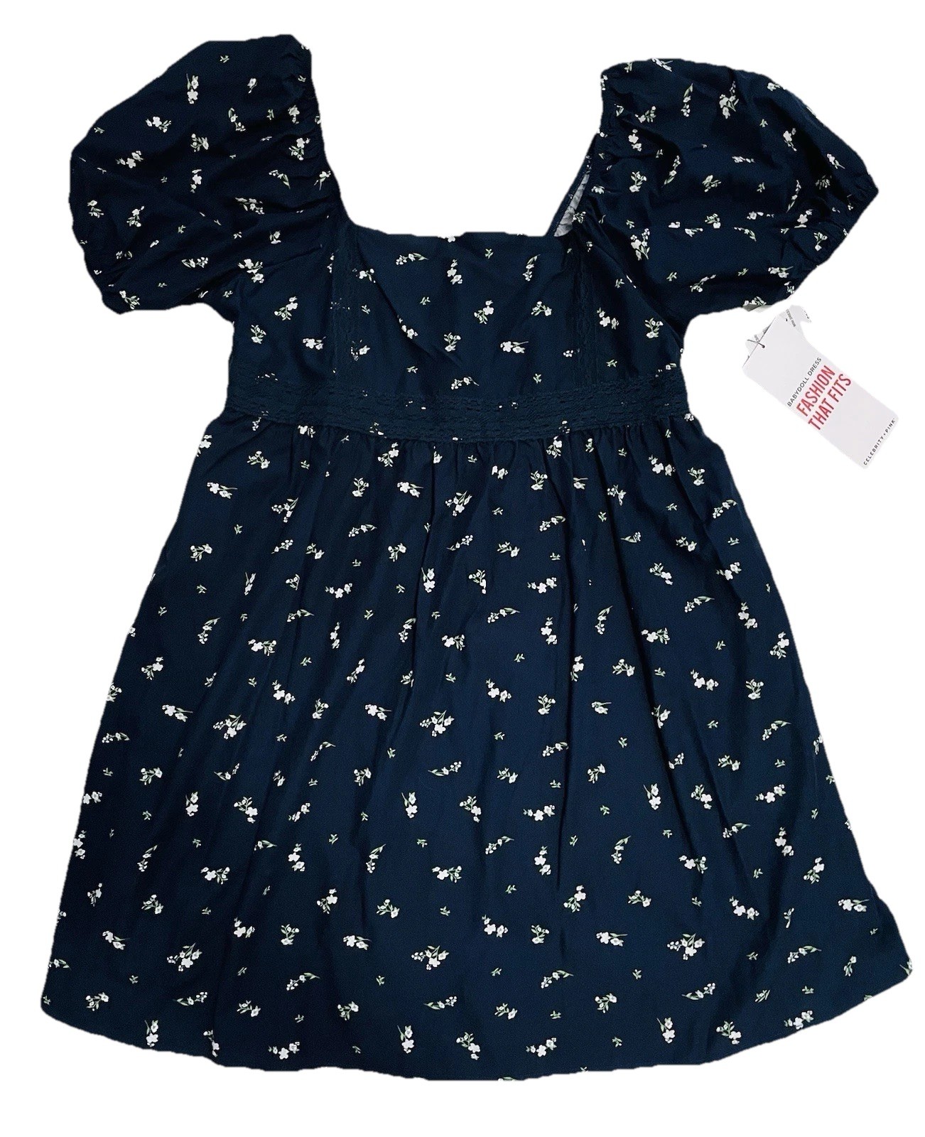 NWT Celebrity Pink Floral Blue Mini Dress Size Large Fully Lined NEW