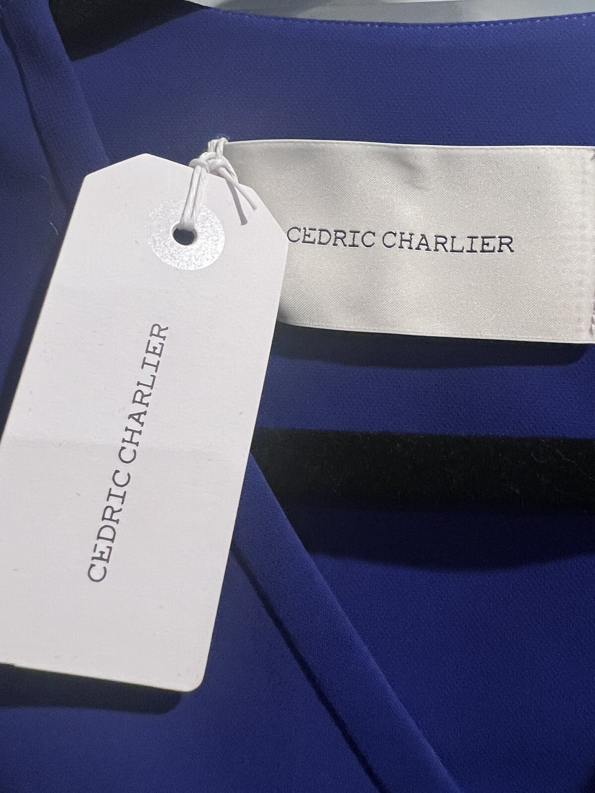 Cedric Charlier Dress