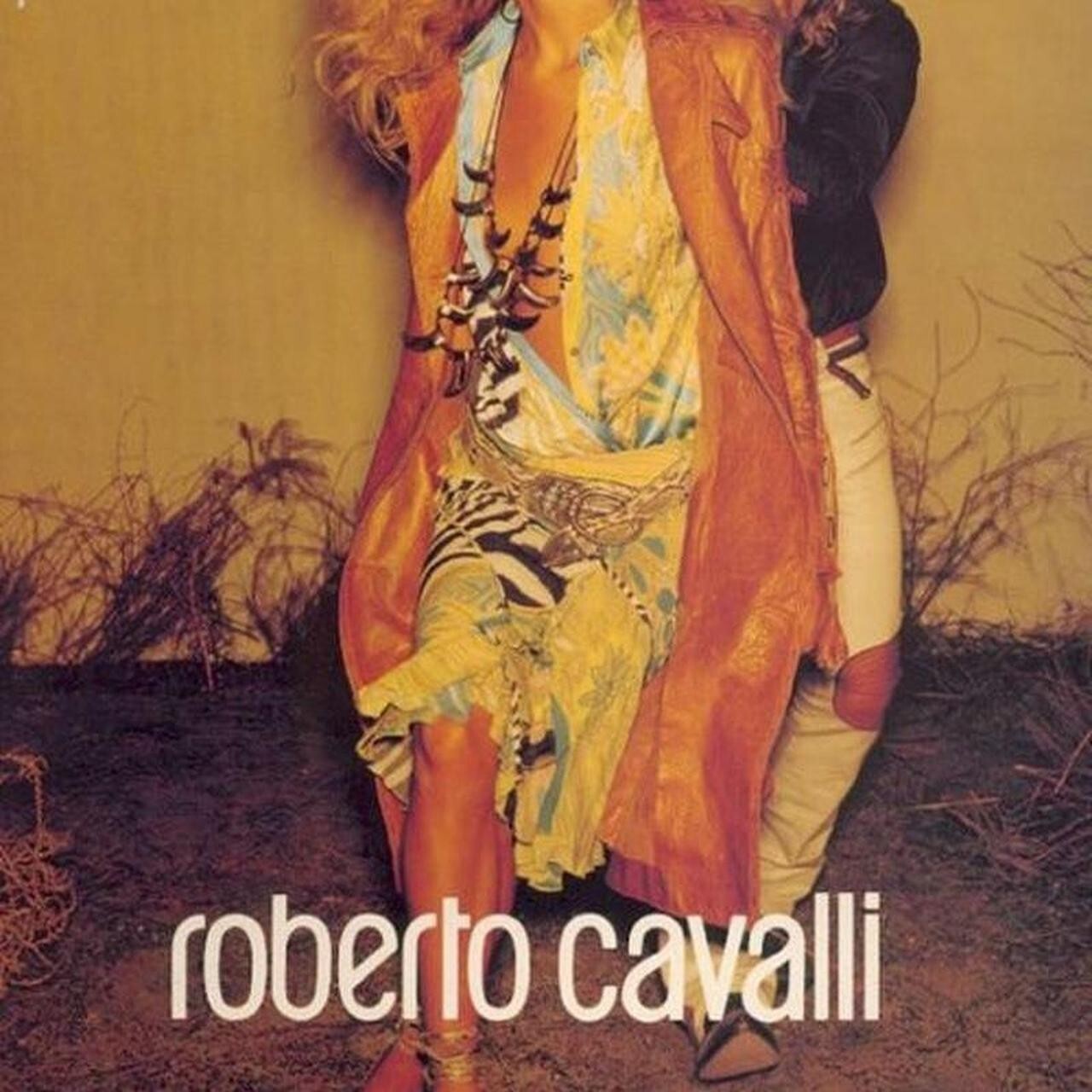 class by roberto cavalli 00s zebra & floral maxi dress
