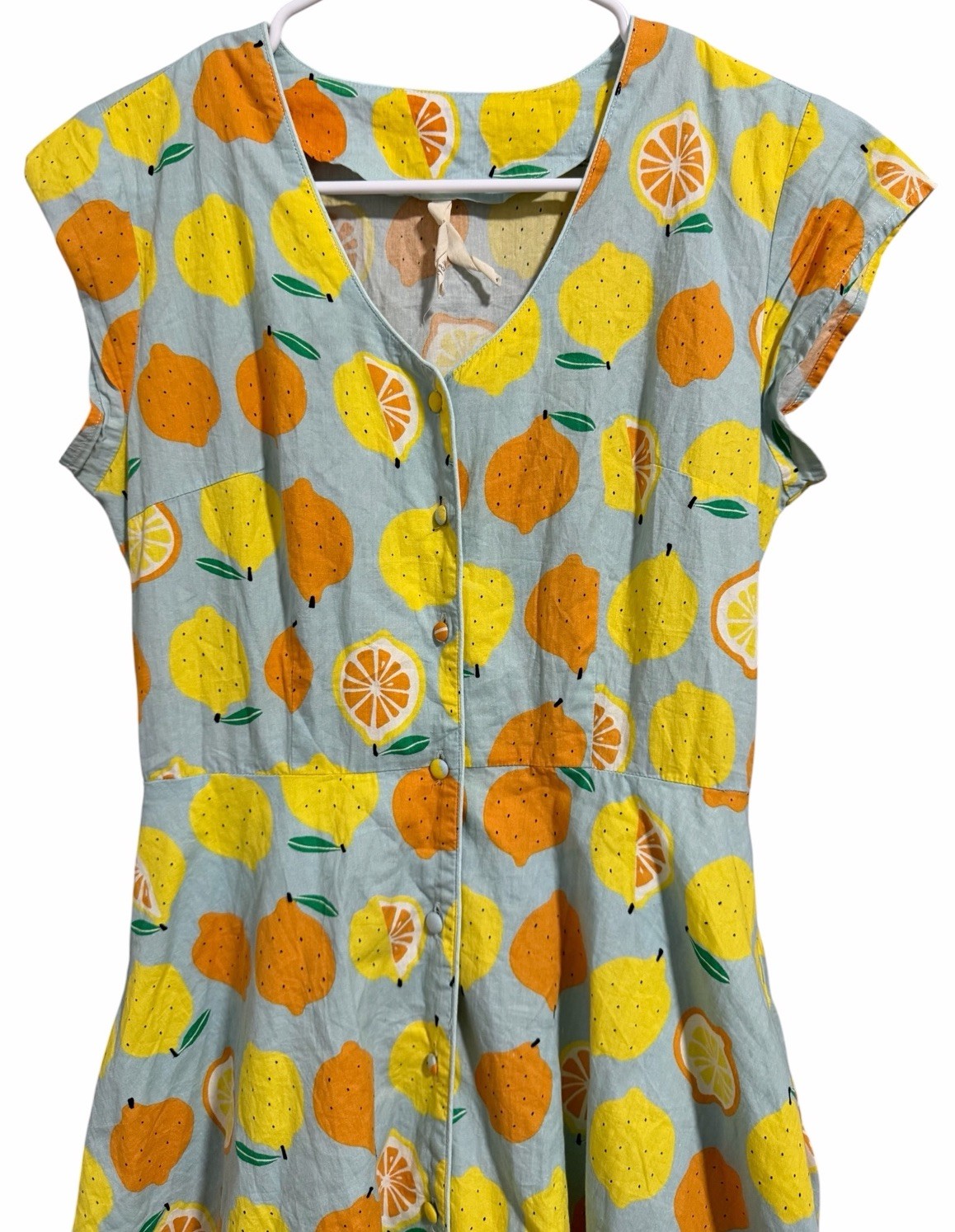 Teeberry & Weave Novelty Fruit Eclectic Art Flare Retro Dress Women’s Size Small