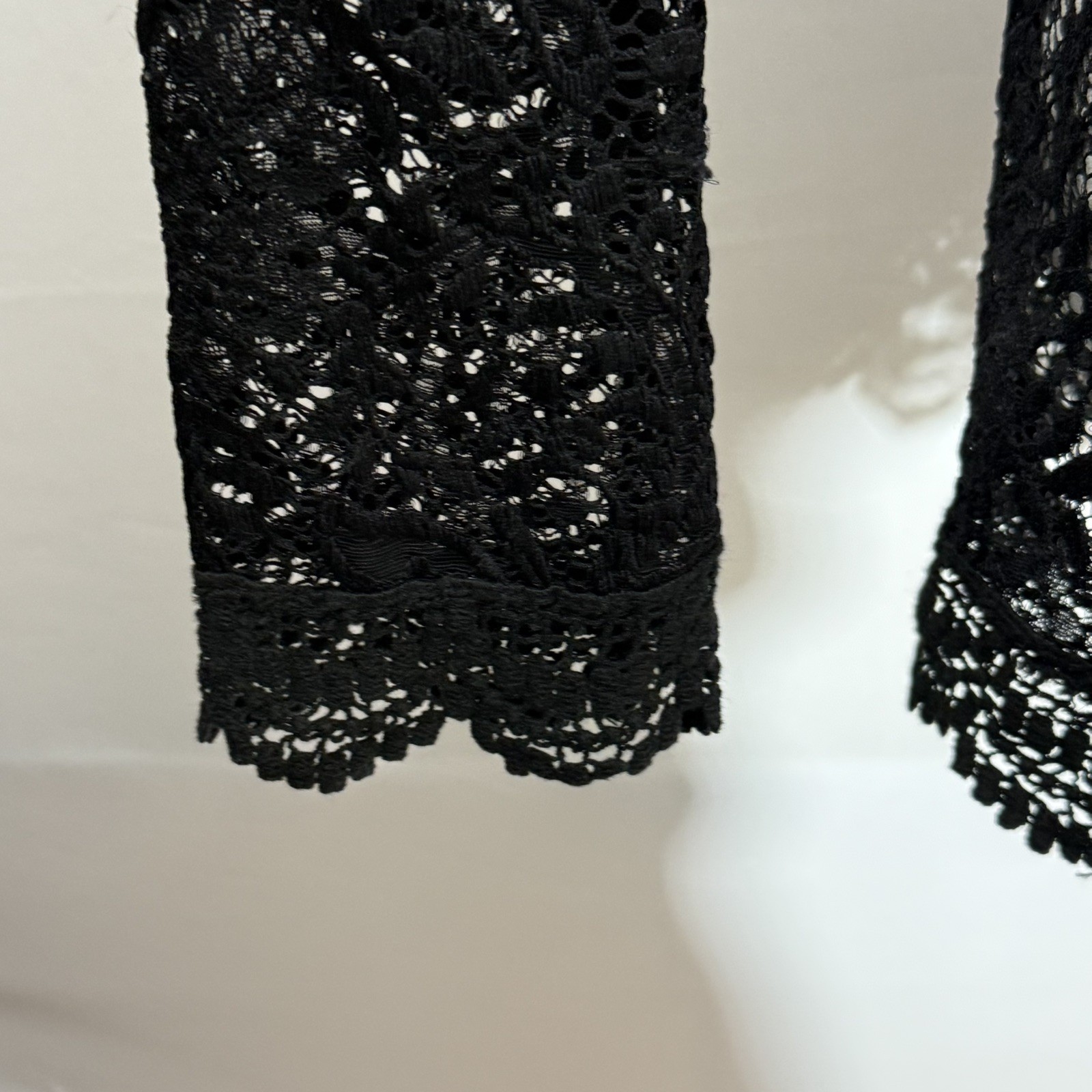 You Are Not Alone Black Lace Long Sleeve Sheer Dress, Coverup or Tunic Top Sz L