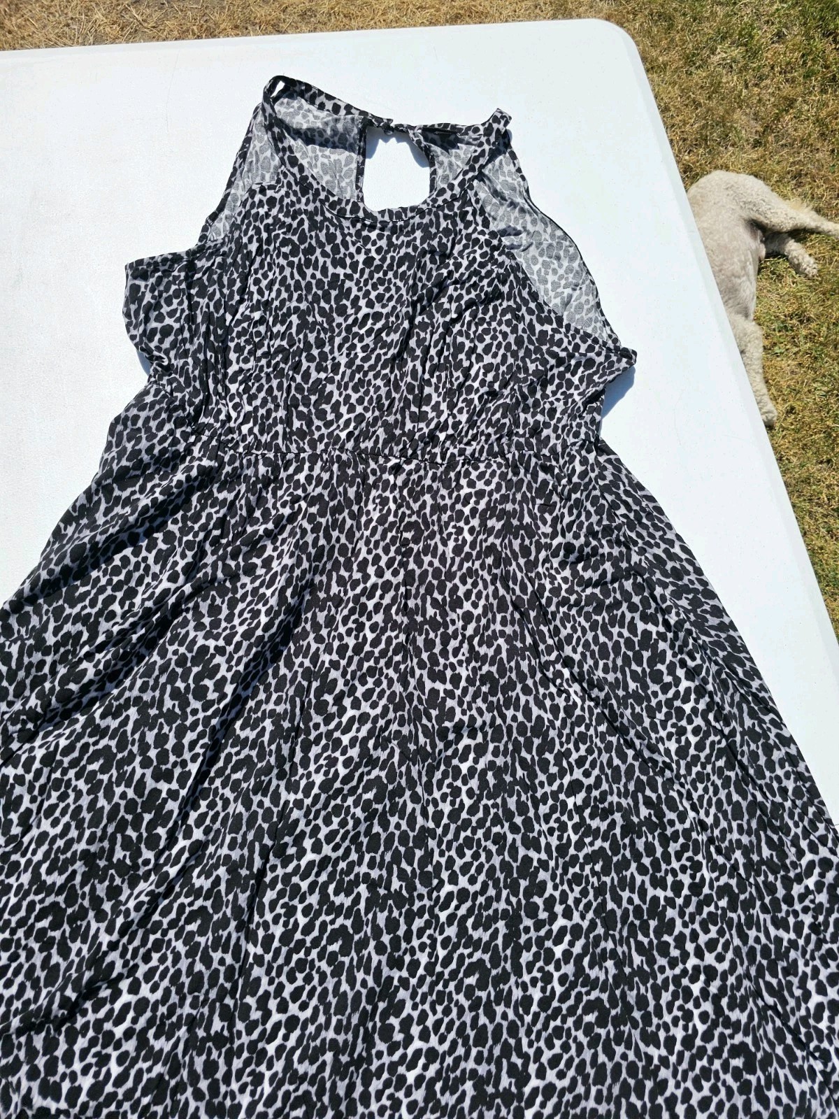 Torrid