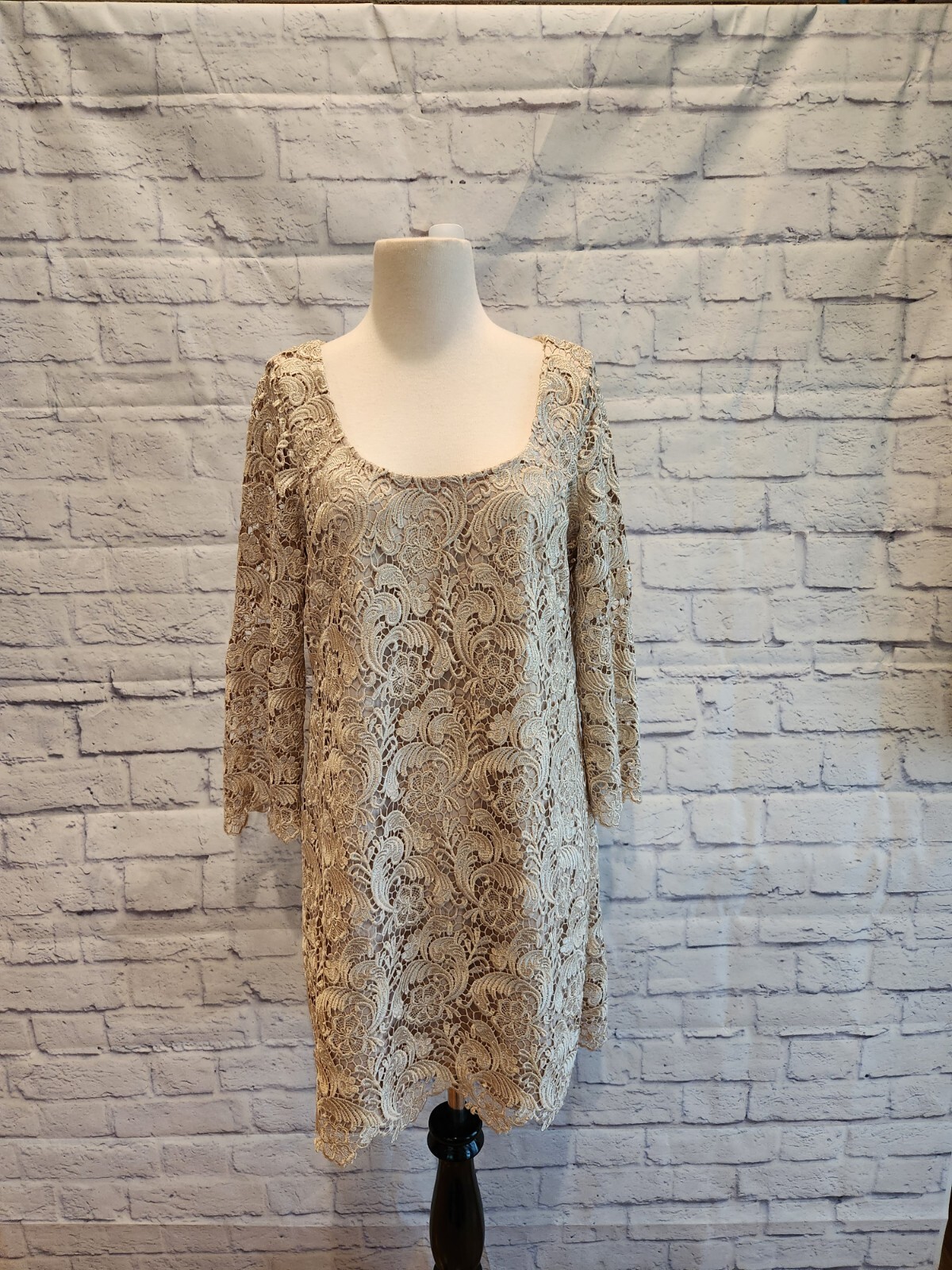 WHBM Lace Overlay Special Occasion Shift Dress Champagne Beige Size 8