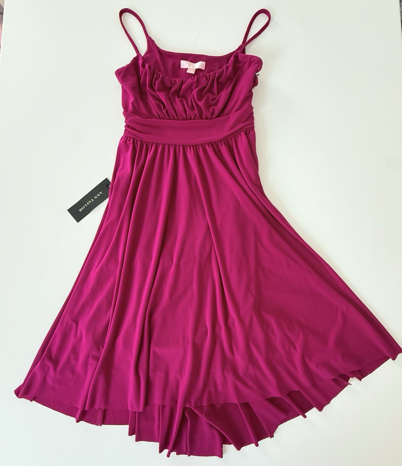 Ann Taylor Petites Fuschia Pink Dress Fit and Flare Size 0P Milkmaid