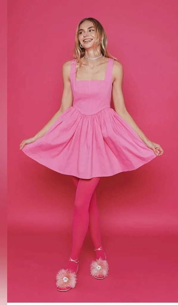 Kourt Pink Denim Corset Pleated Lele Babydoll Fit Flare Mini Dress Size Med NWT